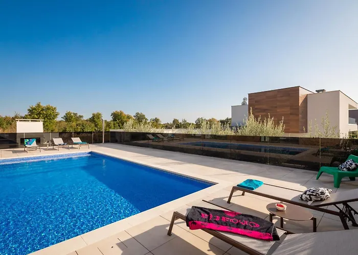 Vivi Rent - Old Olive Vi Villa Vodnjan